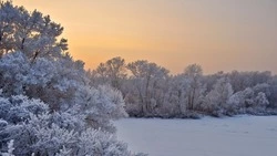 Сильный мороз и небольшой снег ожидаются на Сахалине и Курилах 1 марта
