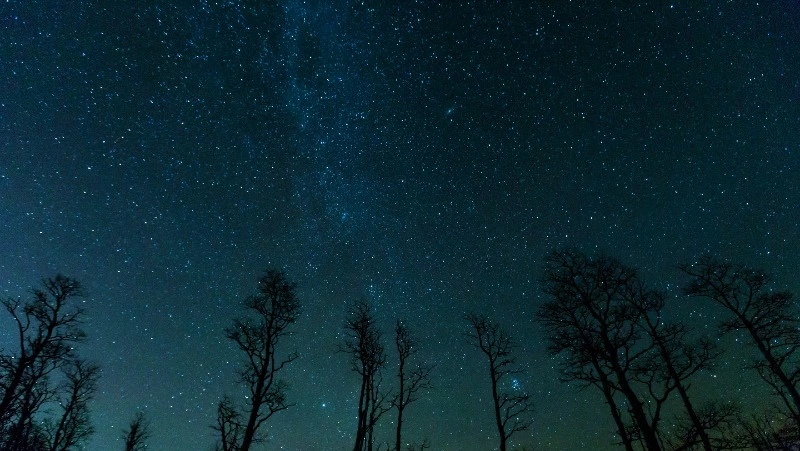 Гороскоп на 16 апреля 2024: важные советы астрологов      