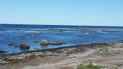 Синоптики пообещали теплую и дождливую погоду в Сахалинской области на следующей неделе   