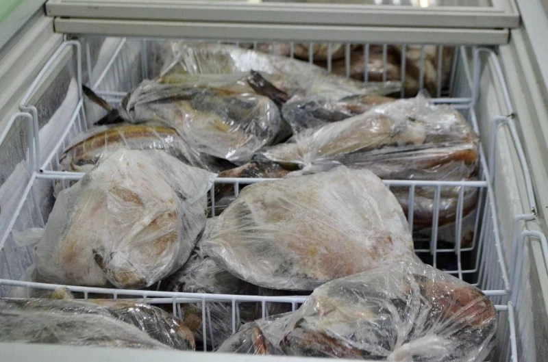 В округе продолжается реализация проекта "Доступная рыба"