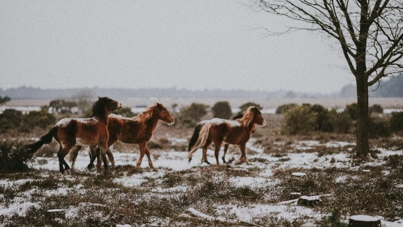 Народные приметы 25 марта: что нельзя делать в этот день