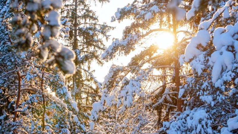 Народные приметы на 14 января 2024 года — что нельзя делать в этот день