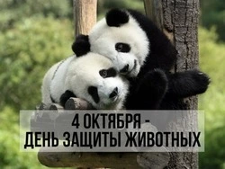 Красивые картинки с Всемирным днем защиты животных 2024 