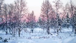 Циклон ударит по Сахалинской области на новогодних каникулах 