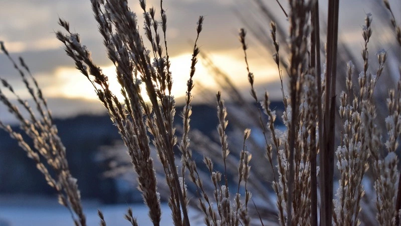 Народные приметы на 16 января 2024 года — что нельзя делать в этот день