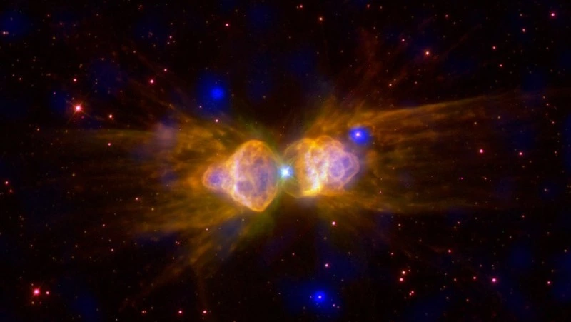 Гороскоп для всех знаков зодиака на 14 февраля 2024 года