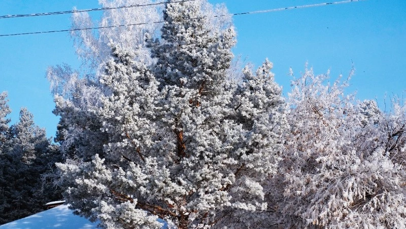 Народные приметы на 13 декабря: что нельзя делать в этот день