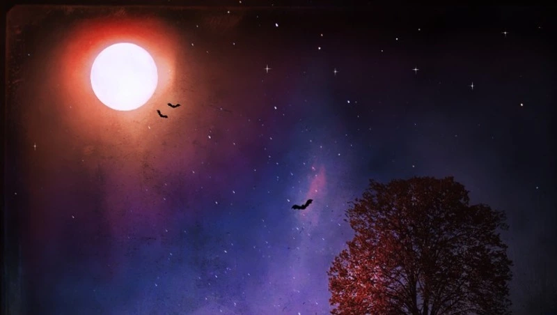 Гороскоп для всех знаков зодиака на 16 марта 2024 года 