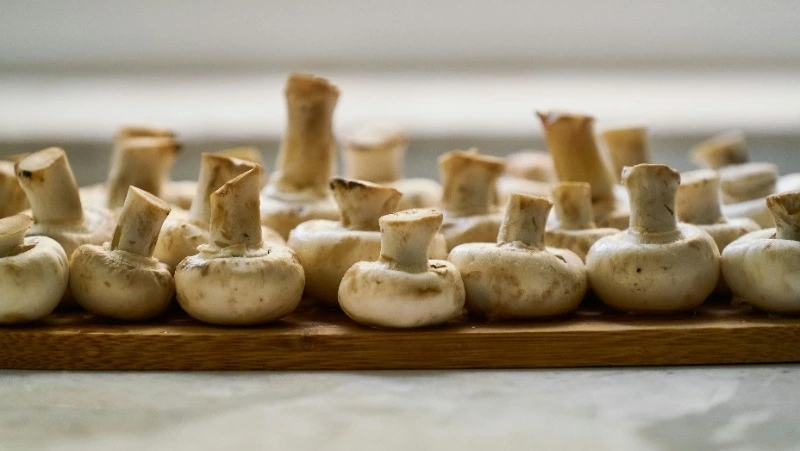 29 марта: какие праздники отмечают в России и мире 