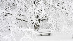 Потепление и снег ожидаются в Сахалинской области 27 января