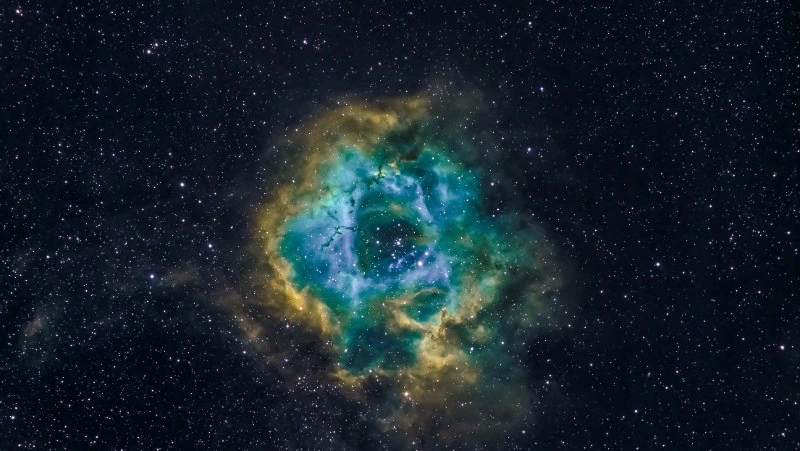 Гороскоп для всех знаков зодиака на 30 января 2024 года