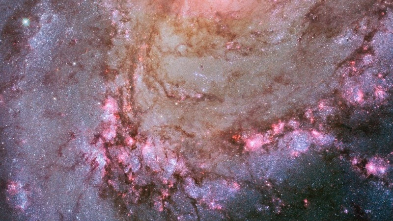 Гороскоп для всех знаков зодиака на 21 апреля 2024 года 