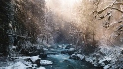 Народные приметы на 11 февраля: что нельзя делать в этот день 