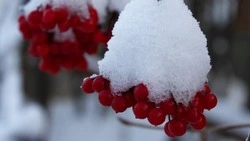 Церковный праздник 21 февраля 2024: приметы, что нельзя делать в этот день  
