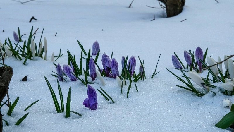 Народные приметы на 30 марта: что нельзя делать в этот день 