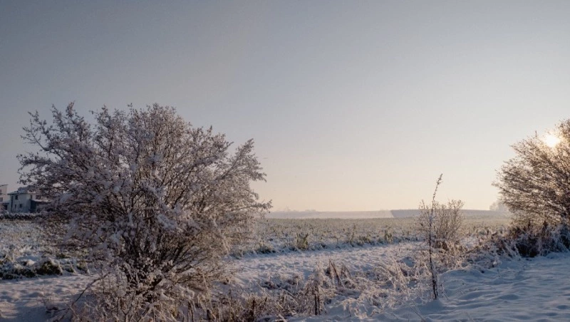 Слабый снег и метель: погода на Сахалине и Курилах 14 декабря 