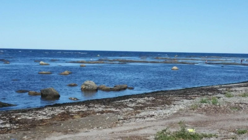 Синоптики пообещали теплую и дождливую погоду в Сахалинской области на следующей неделе   