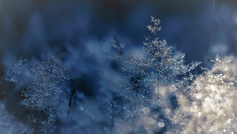 Церковный праздник 11 декабря 2023: что нельзя делать в этот день