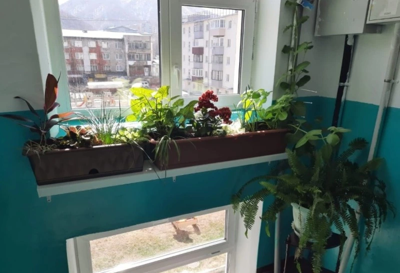 На Сахалине и Курилах выбирают самые уютные, креативные и технологичные подъезды