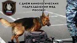 Картинки и открытки с Днем кинолога 2024 
