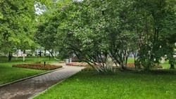 Переменчивая погода ожидается на Сахалине и Курилах на предстоящей неделе 