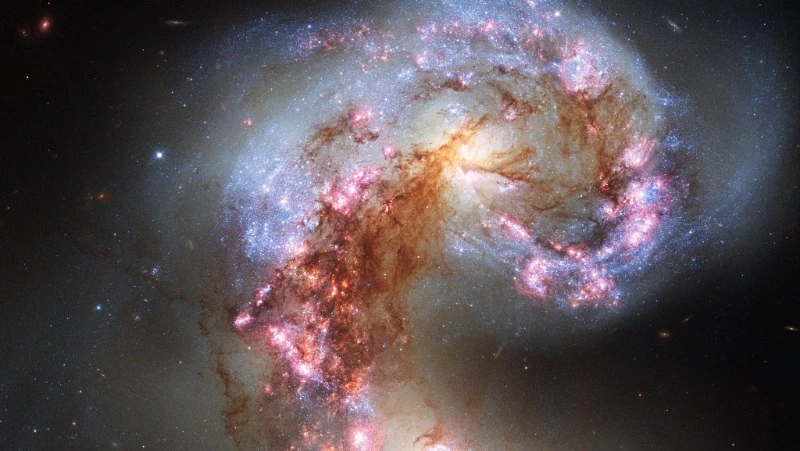 Гороскоп на неделю с 13 по 19 мая: Ракам — успех, Водолеям — проблемы с государственными органами 