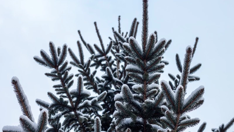 Народные приметы на 17 января 2024 года — что нельзя делать в этот день