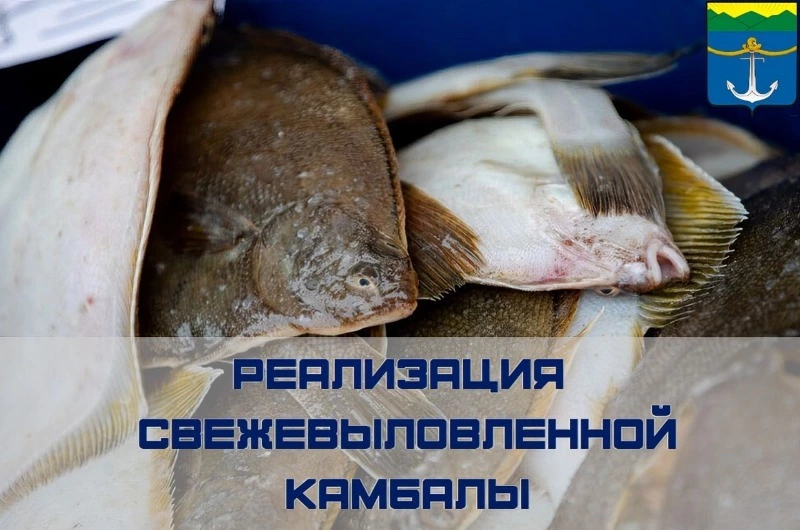 В округе продолжается реализация проекта "Доступная рыба"