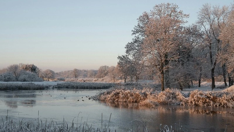 Погода в Сахалинской области 19 марта: снег и нулевые отметки  