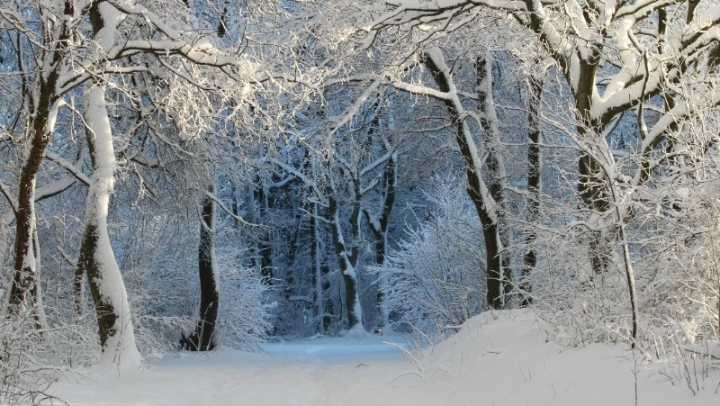 Народные приметы на 30 ноября: что нельзя делать в этот день 