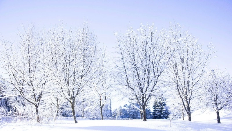 Народные приметы на 6 февраля: что нельзя делать в этот день