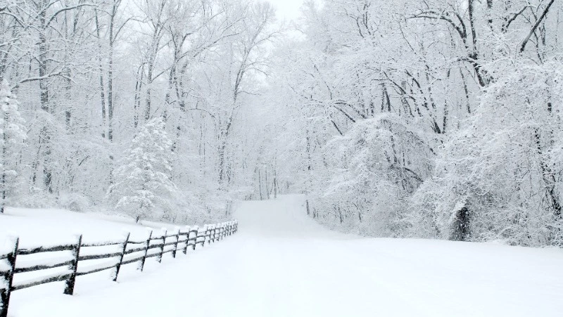 Сильный мороз и гололед ожидаются на Сахалине и Курилах 12 декабря