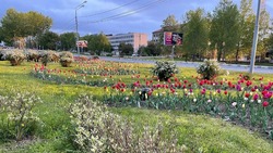 Атмосферный фронт с запада принесет дожди в Сахалинскую область на предстоящей неделе