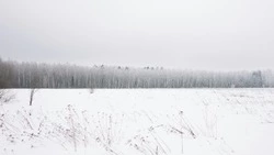 Церковный праздник 9 февраля 2024: приметы, что нельзя делать в этот день 