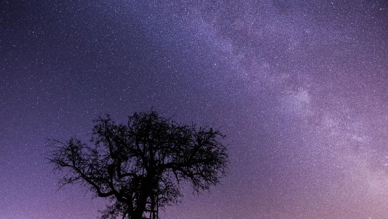 Гороскоп для всех знаков зодиака на 2 февраля 2024 года 