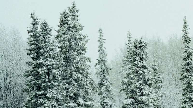 Церковный праздник 23 января 2024: приметы, что нельзя делать в этот день