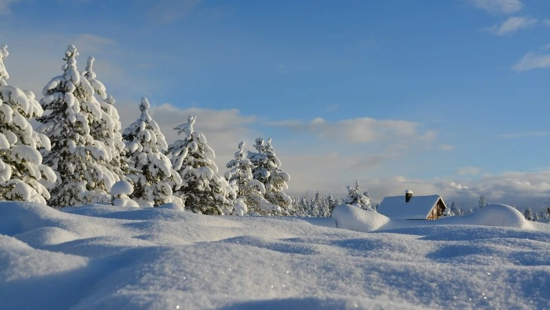 Прогноз погоды в Сахалинской области на 19 декабря: снег и - 20 градусов