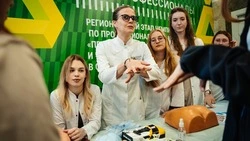 Фестиваль профессий на Сахалине объединит работодателей, вузы и школьников