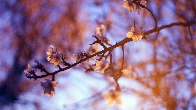 Народные приметы 14 апреля: что нельзя делать в этот день 