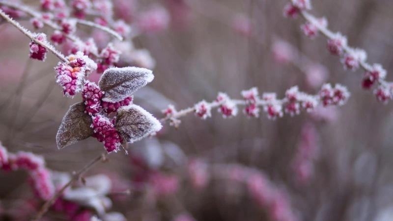 Церковный праздник 16 января 2024: что строго нельзя в этот день, приметы