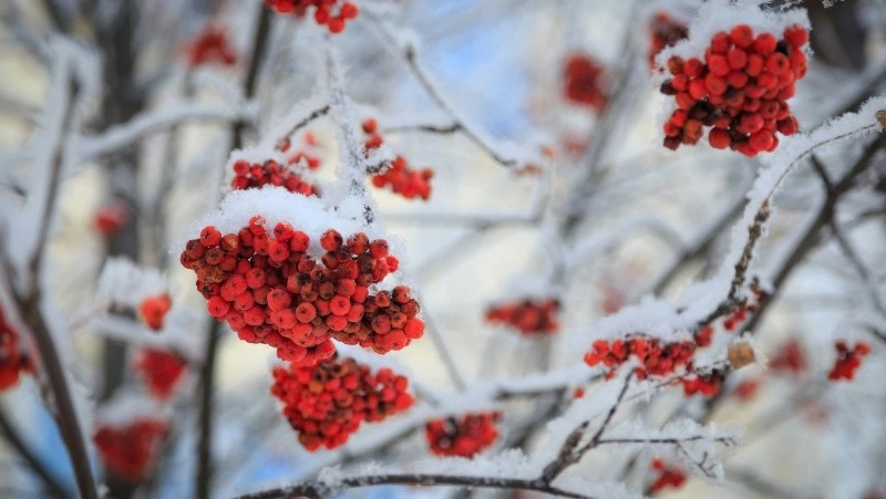 Народные приметы на 20 марта: что нельзя делать в этот день 