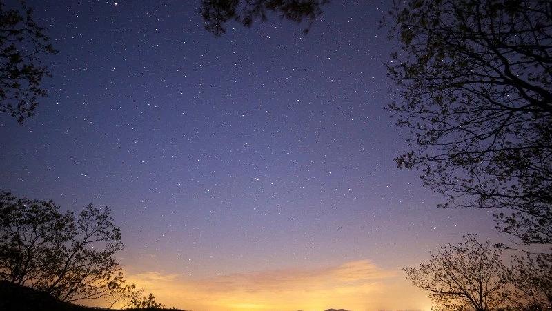 Гороскоп для всех знаков зодиака на 4 января 2024 года