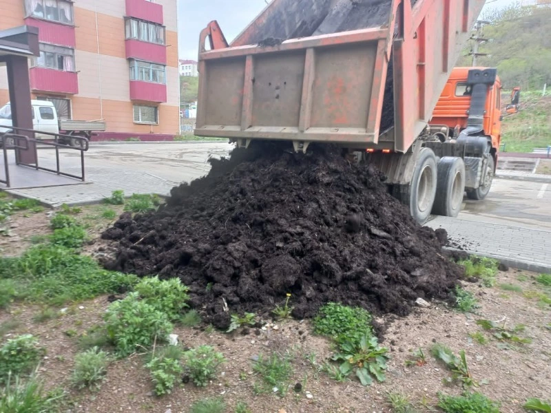 Цветущих палисадников во дворах Холмска становится больше