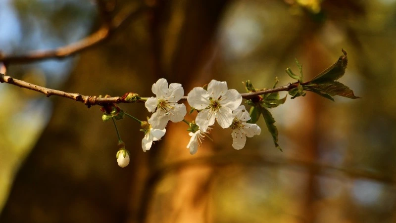 Народные приметы на 4 мая: что нельзя делать в этот день 