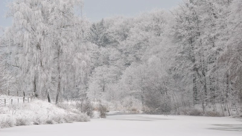 Озвучен прогноз погоды в Сахалинской области на 7 декабря