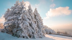 Церковный праздник 7 февраля 2024: приметы, что нельзя делать в этот день 