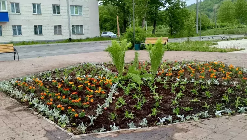 В селе Чехов заиграли новыми красками цветочные клумбы