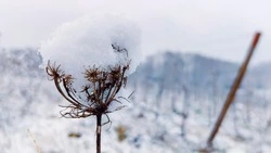 Погода в Сахалинской области 29 февраля: без осадков и мороз до -30 градусов  