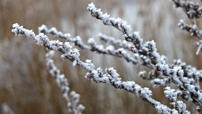 Прогноз погоды в Сахалинской области на 29 ноября 2023 года