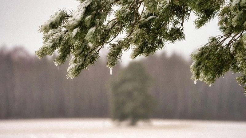 Народные приметы на 13 марта: что нельзя делать в этот день 